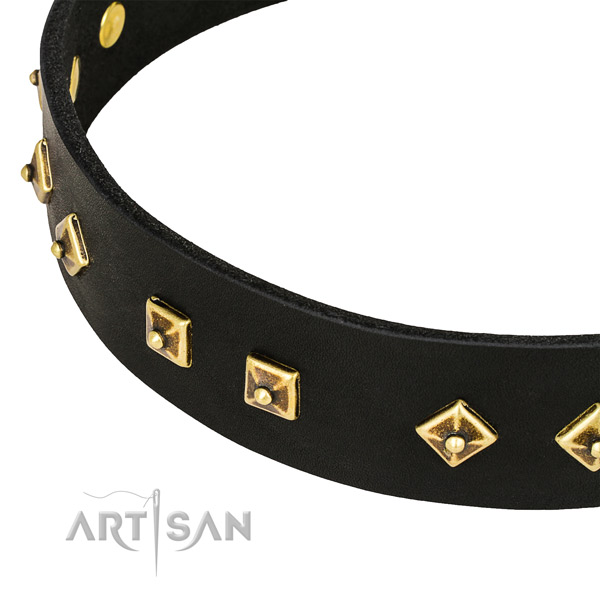 Easy to adjust genuine leather collar for your handsome canine