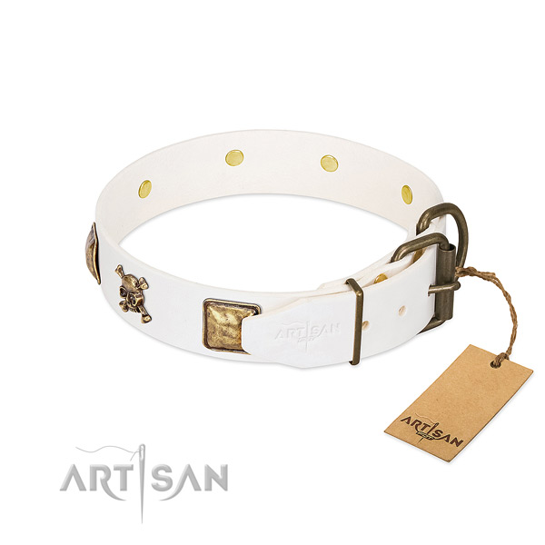 Stunning full grain leather dog collar with reliable decorations