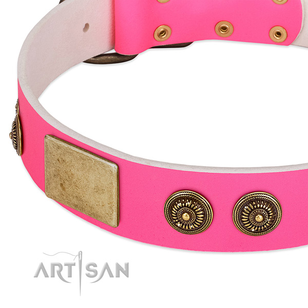 Fashionable dog collar crafted for your stylish canine