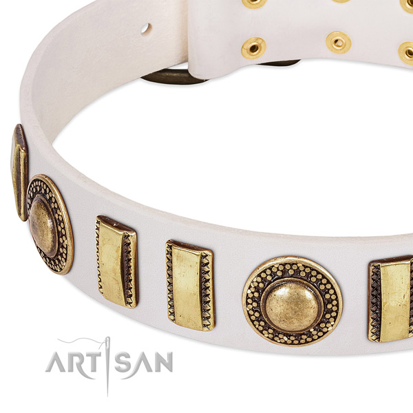 Flexible genuine leather dog collar with rust resistant hardware