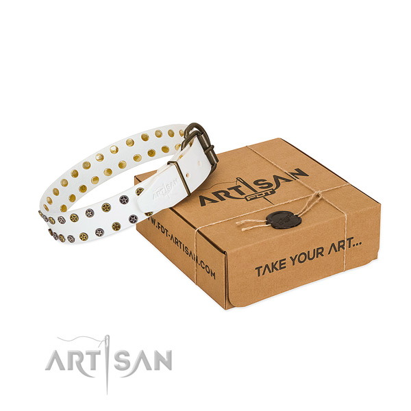 Stunning leather dog collar with strong adornments