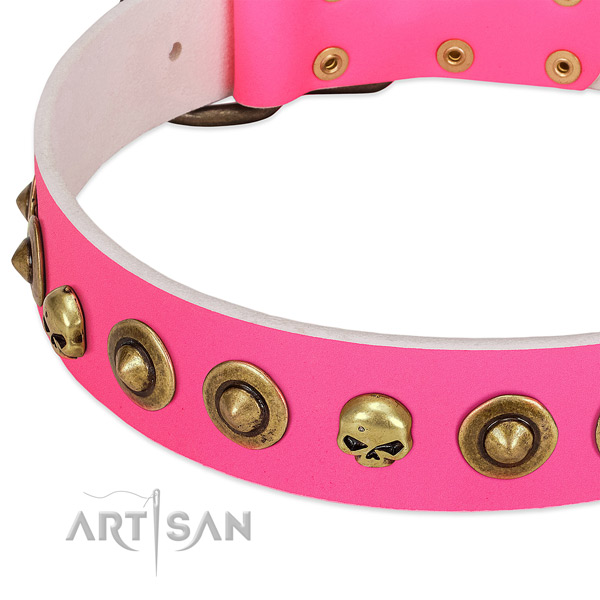 Exquisite adornments on natural leather collar for your four-legged friend