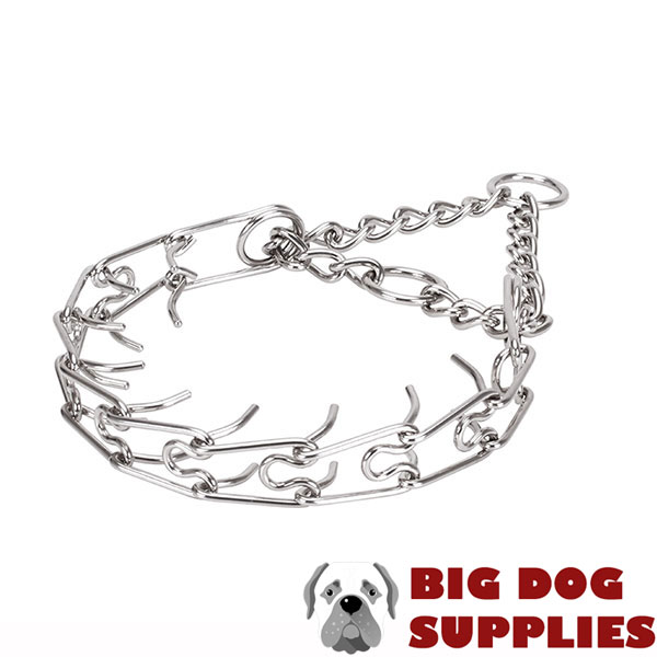 Strong O-ring for leash attachment on stainless steel pinch collar
