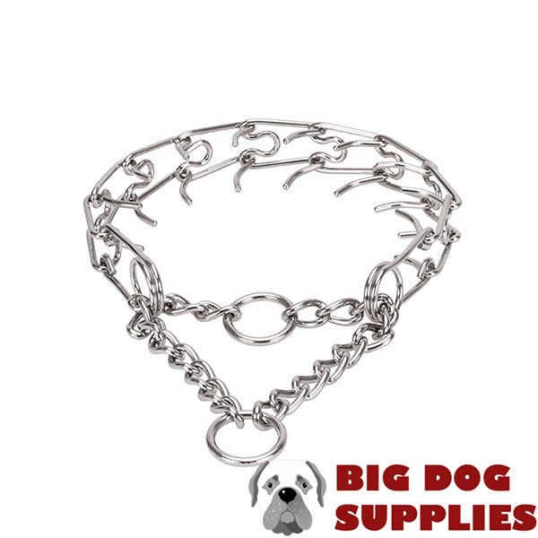 Pinch collar of rust resistant stainless steel for ill behaved dogs