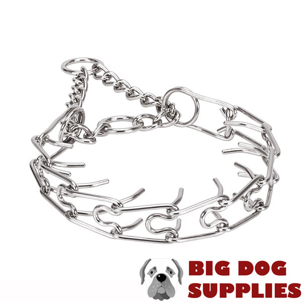 Corrosion proof dog prong collar with stainless steel removable links