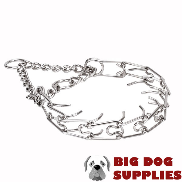 Pinch collar of stainless steel for badly behaved dogs