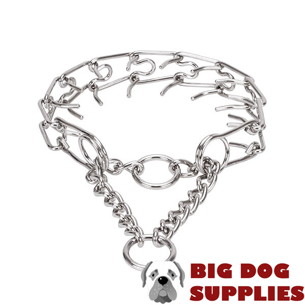 Stainless steel dog prong collar for large canines