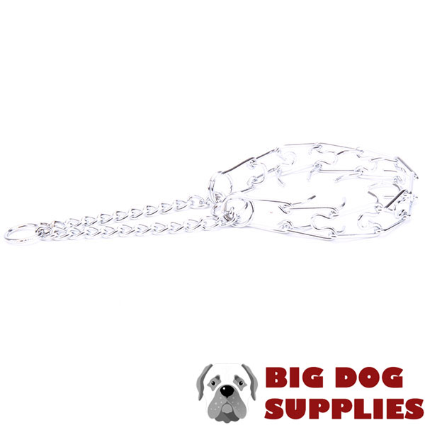 Dog pinch collar chrome plated for obedience training pets