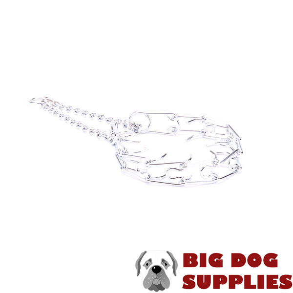 Chrome plated steel dog prong collar for poorly behaved pets
