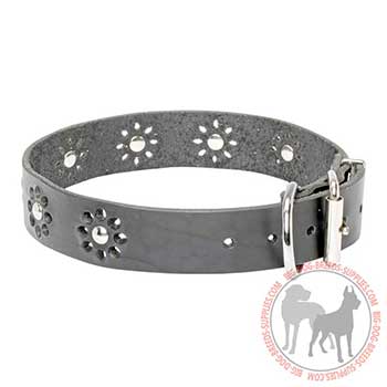 Black Leather Collar