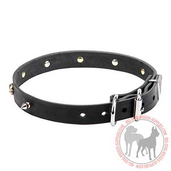 Decorated Leather Dog Collar