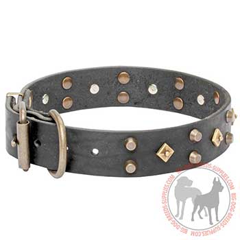 Comfy Dog Collar