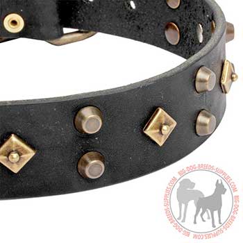 Studded Leather Dog Collar