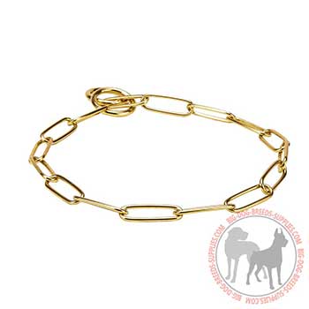 Choke Dog Collar for Walking