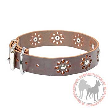 Leather Collar for Canine Walking