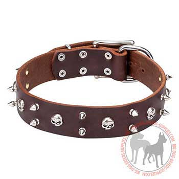 Brown Leather Dog Collar with Special Decoration