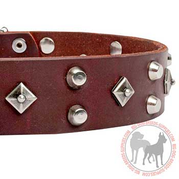 Comfy Dog Collar