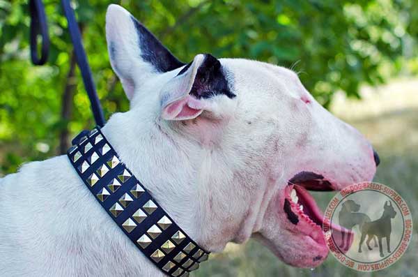 Get Studded Leather Doberman Collar | Nickel Pyramids ...