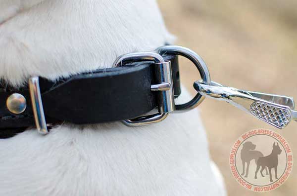 D-Ring on LEather Collar for Lead