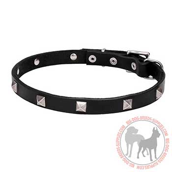 Decorated Leather Dog Collar for Walking