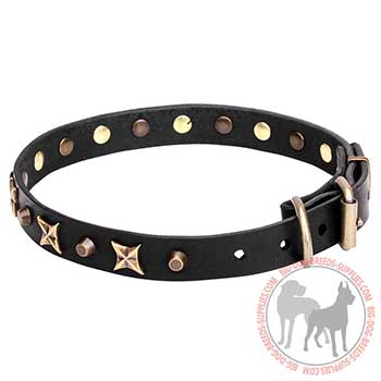 Leather Dog Collar for Stylish Walking