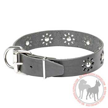 Leather Collar for Dog Walking