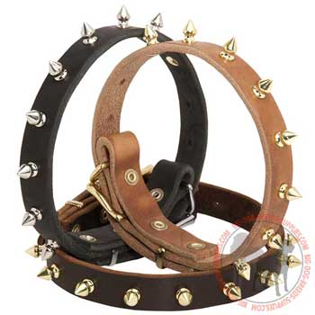 Dog Leather Collar for Everyday Walking