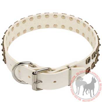Dog Collar Leather with Strong Buckle