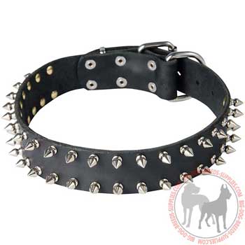 Dog Leather Collar with Steel Nickel Plated Decoration
