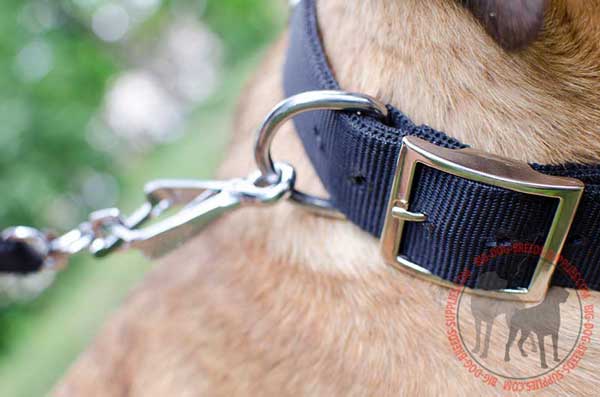 Dog Nylon Collar with Rust Resistant Steel Nickel Plated D-ring