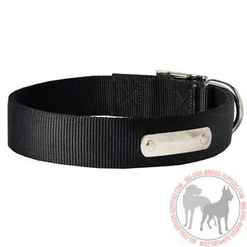 American Pit Bull Terrier Collar Made of Neoprene Nylon Resistant to Weather