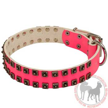 Pink Leather Dog Collar Decorated with Studs