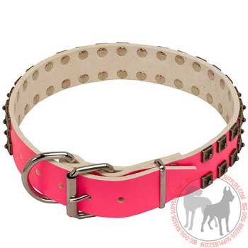 Pink Leather Collar for Dogs with Rivets