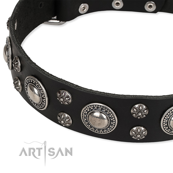 Quick to fasten leather dog collar with extra sturdy non-rusting buckle and D-ring
