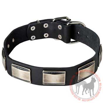 Dog collar with decoration of nickel