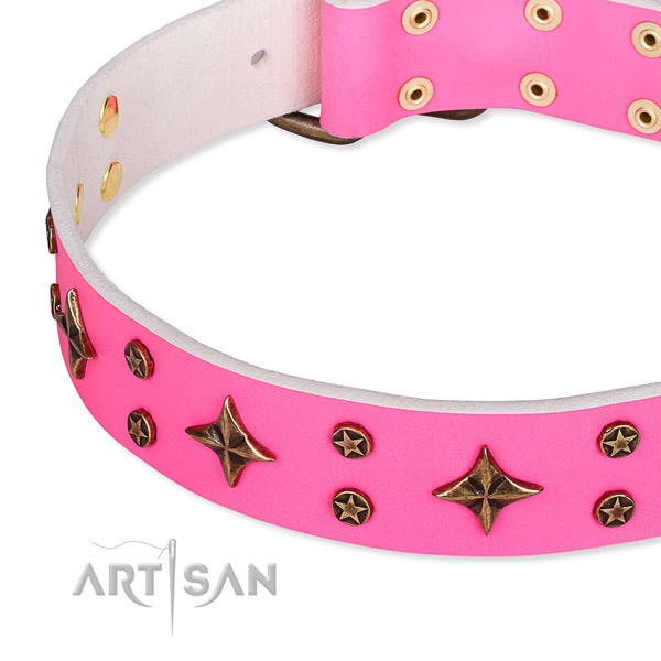 Full grain natural leather dog collar with remarkable adornments