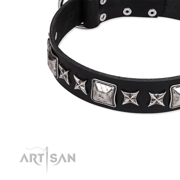 Natural genuine leather dog collar with adornments for daily walking