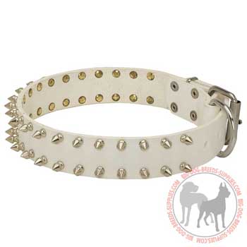 Dog leather collar fancy design