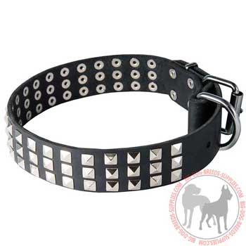 Dog leather collar with rust resistant buckle and D-ring