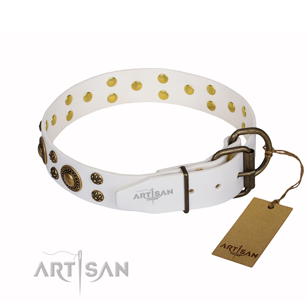 Unusual full grain leather dog collar for walking