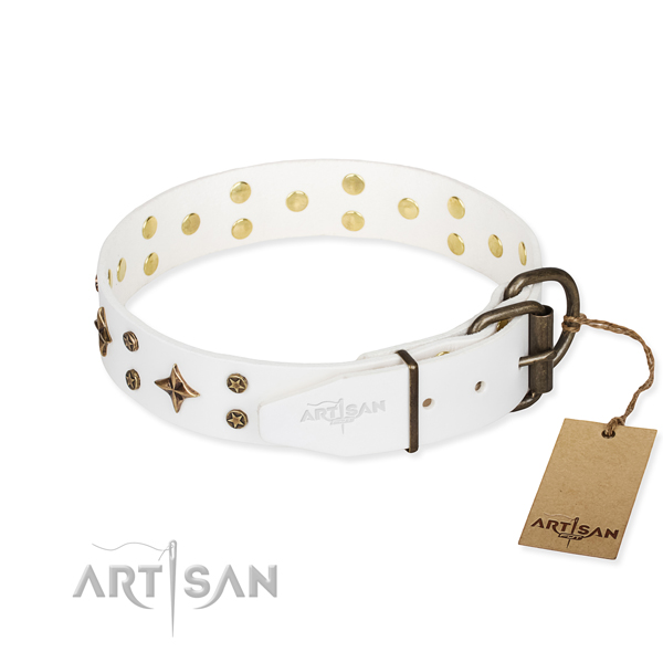 Everyday use full grain genuine leather collar with studs for your pet
