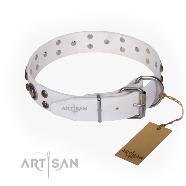 Stylish walking natural genuine leather collar with studs for your dog