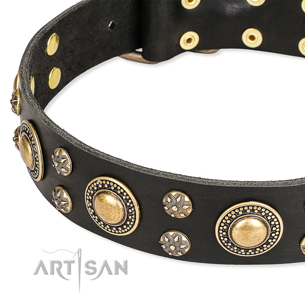 Walking full grain natural leather collar with durable buckle and D-ring