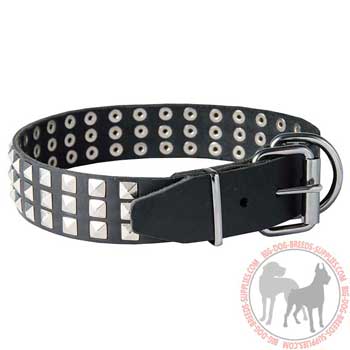 Dog leather collar reliable tool