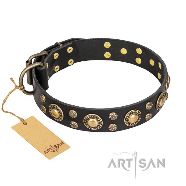 Top notch natural genuine leather dog collar for everyday use