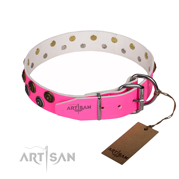 Walking full grain genuine leather collar with adornments for your doggie