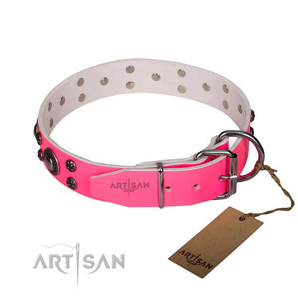 Daily use full grain natural leather collar with corrosion proof buckle and D-ring