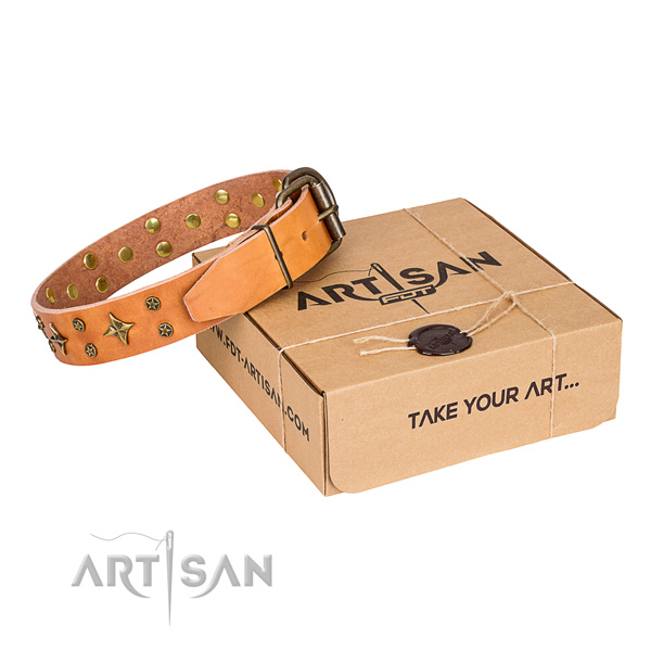 Studded leather dog collar for daily walking