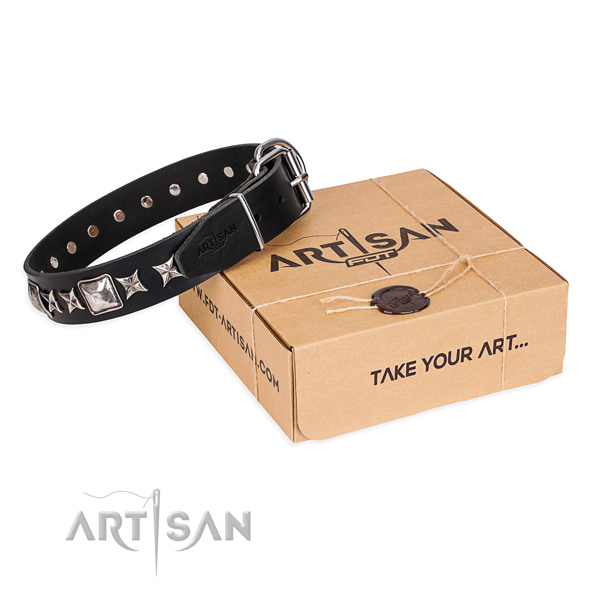 Studded genuine leather dog collar for walking