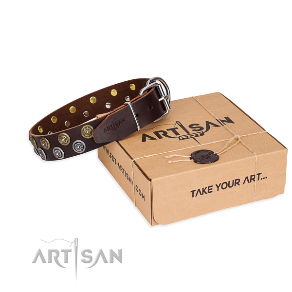 Full grain leather dog collar with adornments for walking